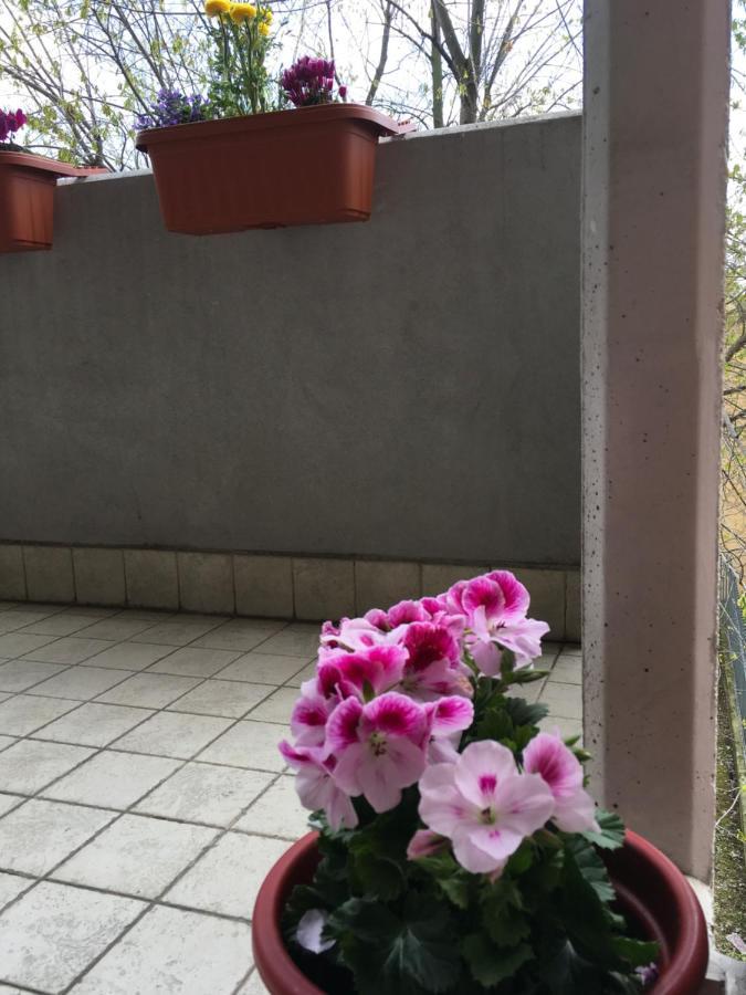 Appartamento Con Due Camere Da Letto E Free Park เวโรนา ภายนอก รูปภาพ
